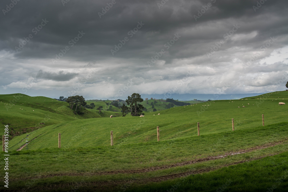 Landscape New Zealand