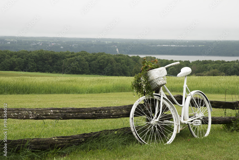 Bicyclette blanche sur clôture