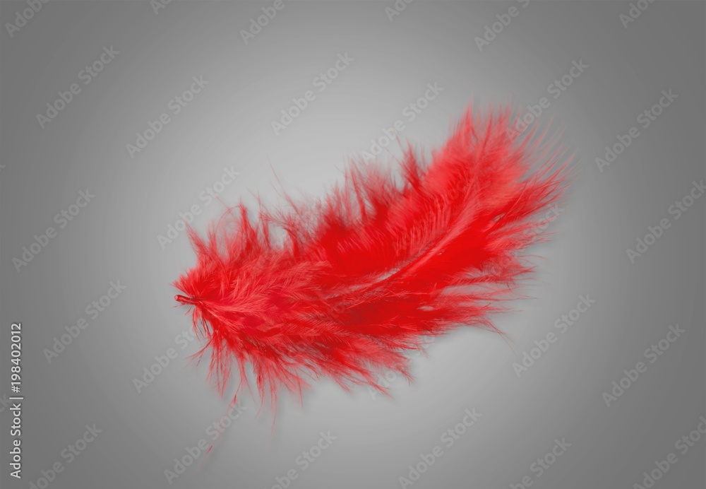 Feather.