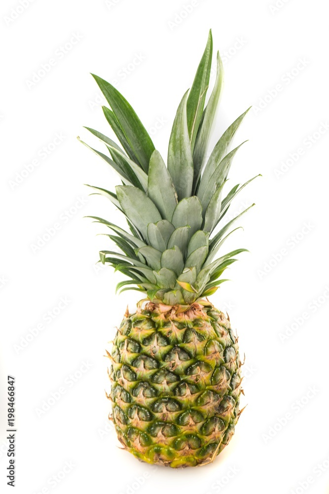 Fresh whole pineapple