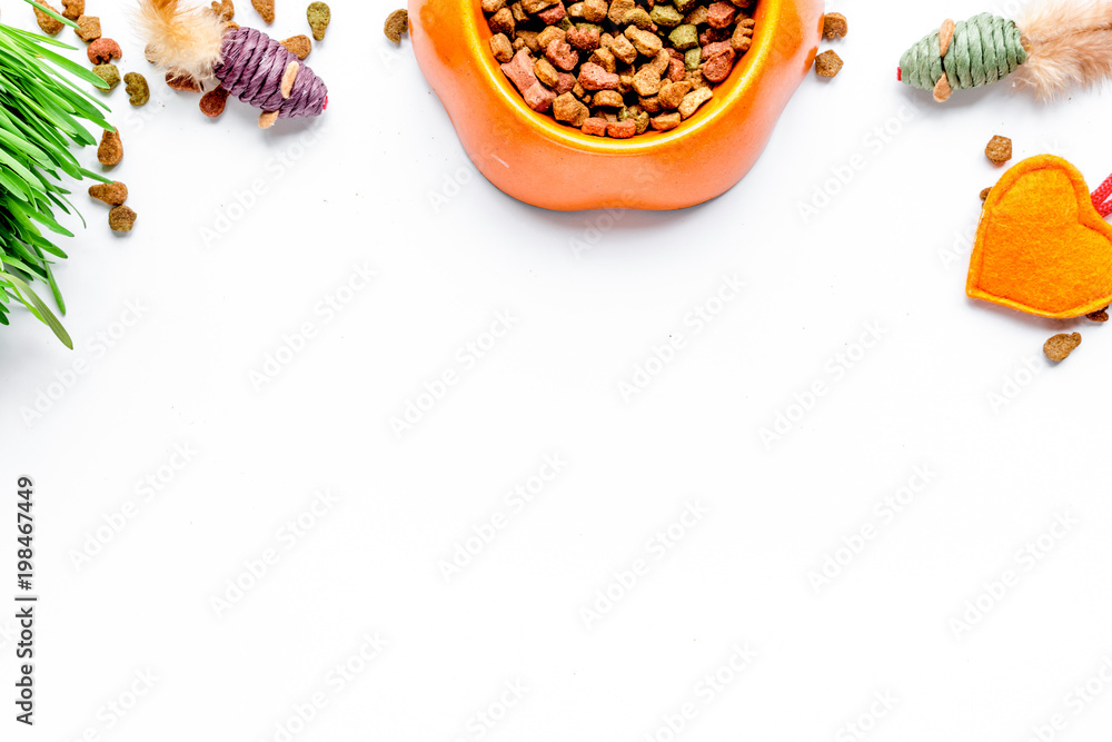 dry cat food in bowl on white background top view