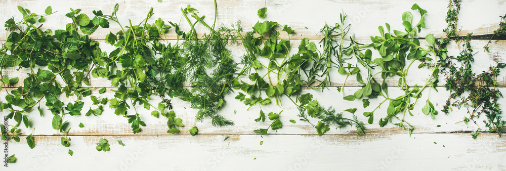 各种新鲜的绿色草本植物的扁平布局。香芹、薄荷、dill、香菜、迷迭香、百里香配白宇