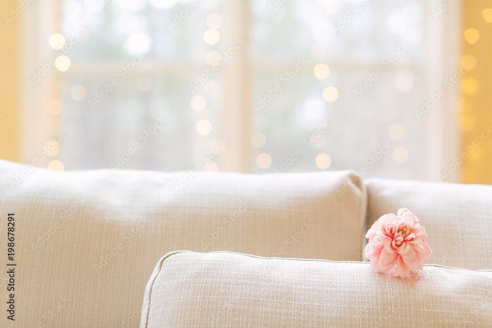 A flower in a bright interior room sofa