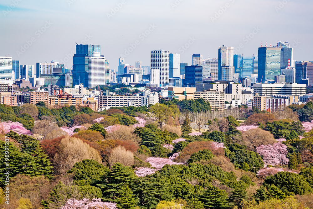 桜が咲いた東京の景色