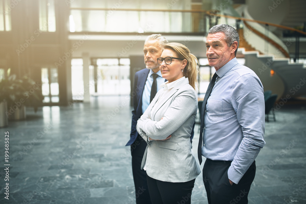 Mature businesspeople standing together in an office lobby