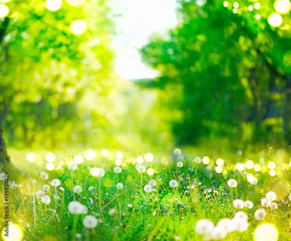 Spring nature scene. Park with dandelions, green grass, trees and flowers. Beautiful landscape.