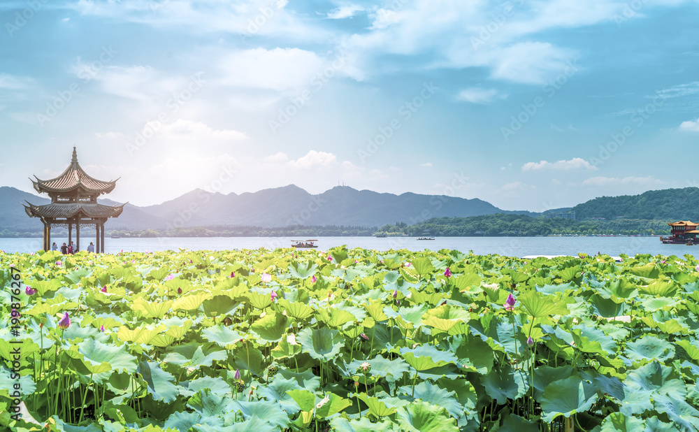 杭州西湖佛塔风景区