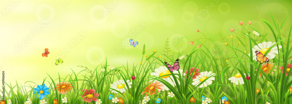 Green spring or summer meadow with grass, flowers and butterflies