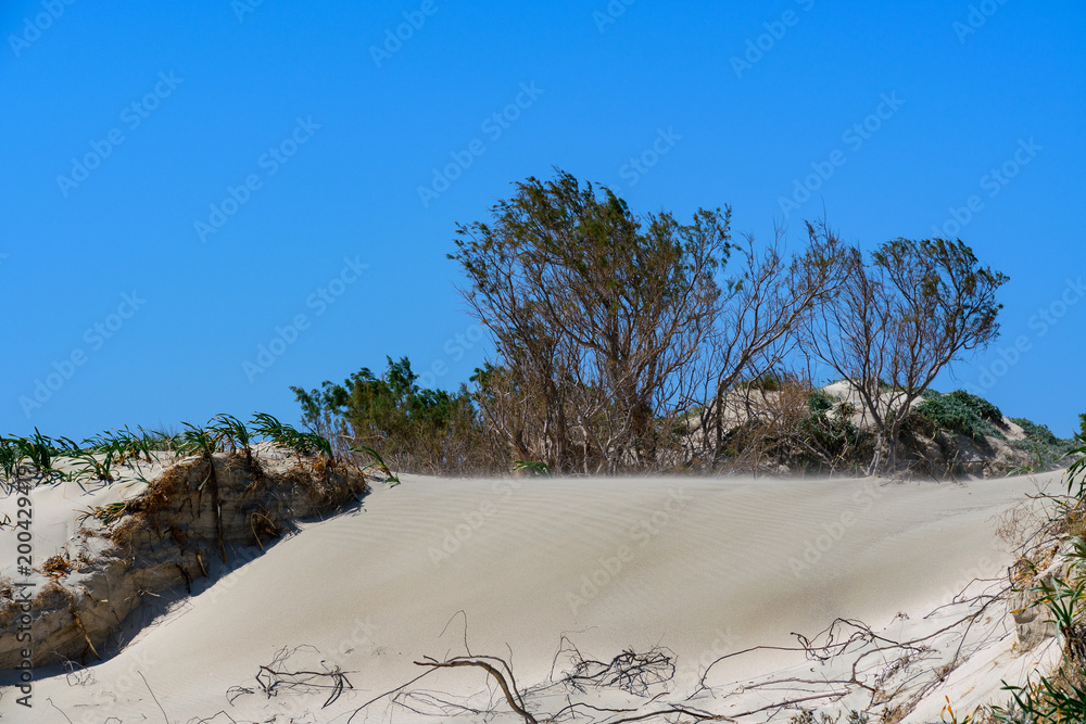 Elafonisi Beach，查尼亚，克里特岛，希腊