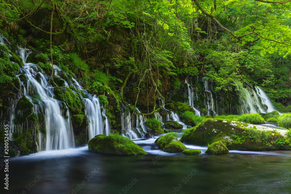 元滝伏流水