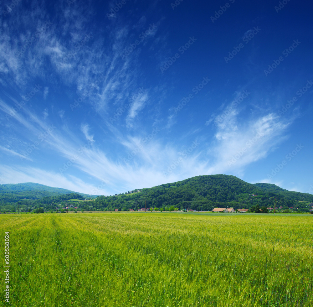 山地景观之夏