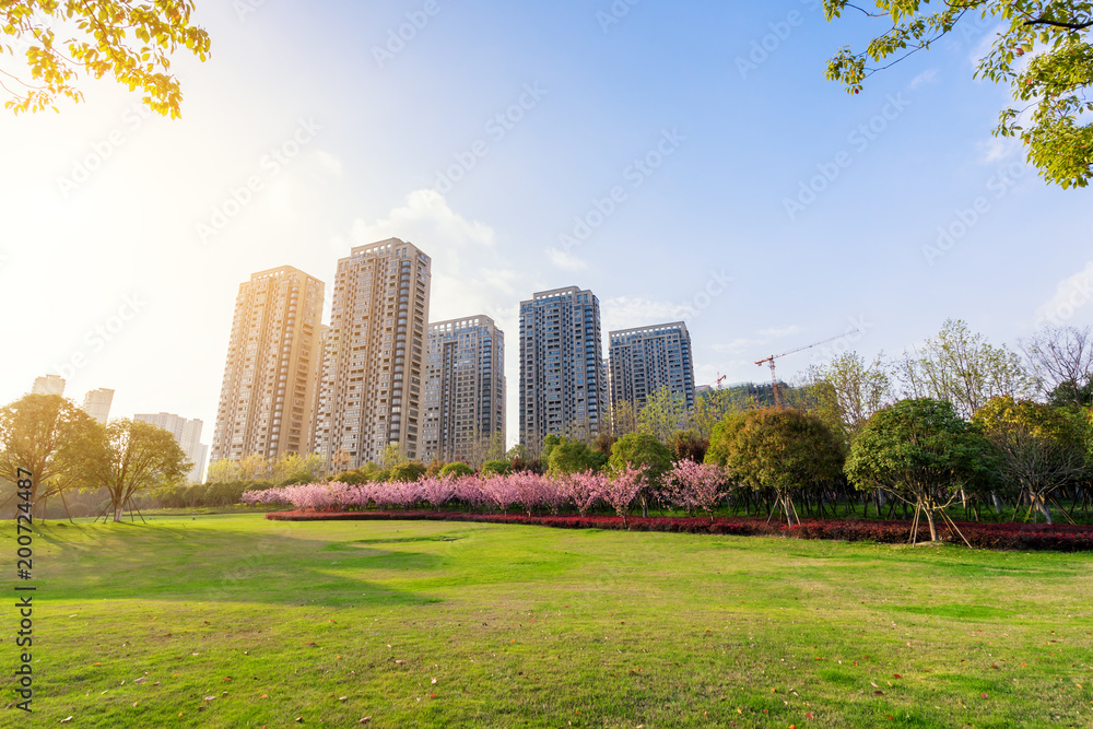 绿色草坪与现代建筑