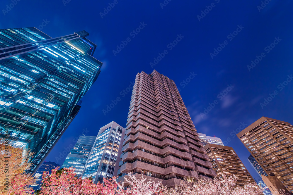 高層ビル群と桜