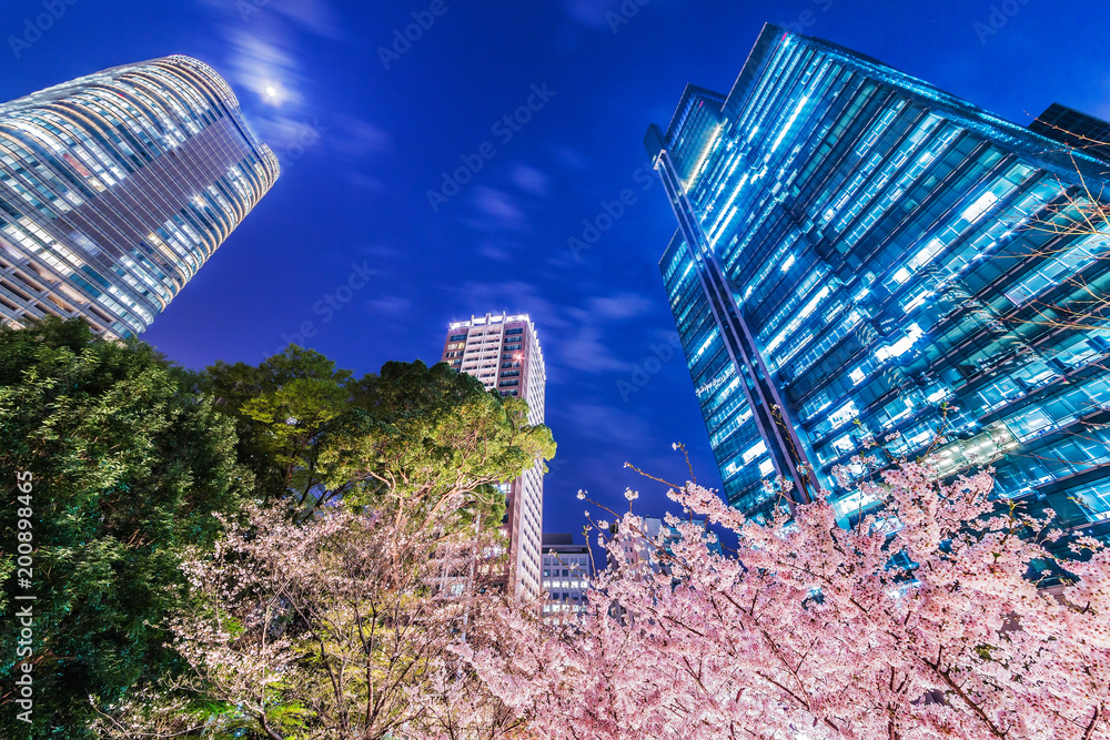 高層ビル群と桜