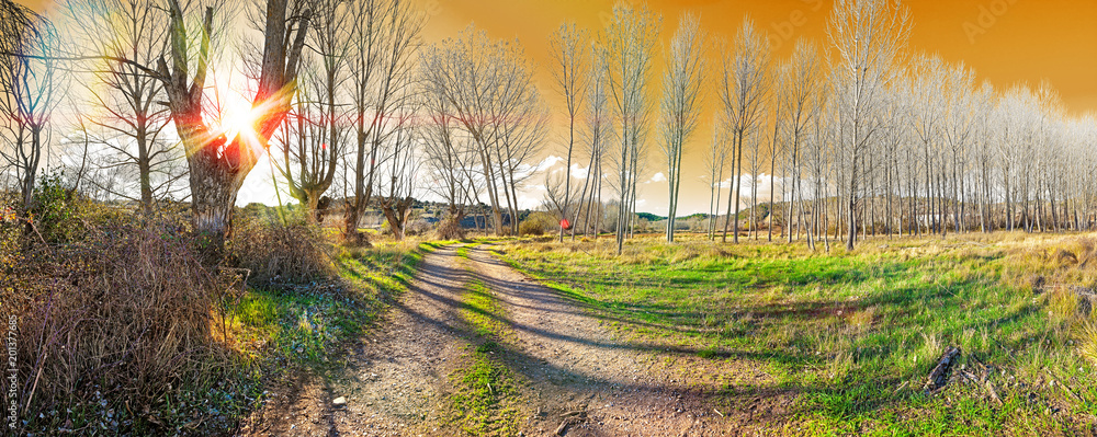 Paisaje escénico de la naturaleza y camino. Prado colorido y bosque.Primavera y puesta de sol