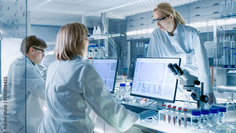 In Modern Laboratory Senior Female Scientist Discusses Work with Young Female Assistant. Laboratory 