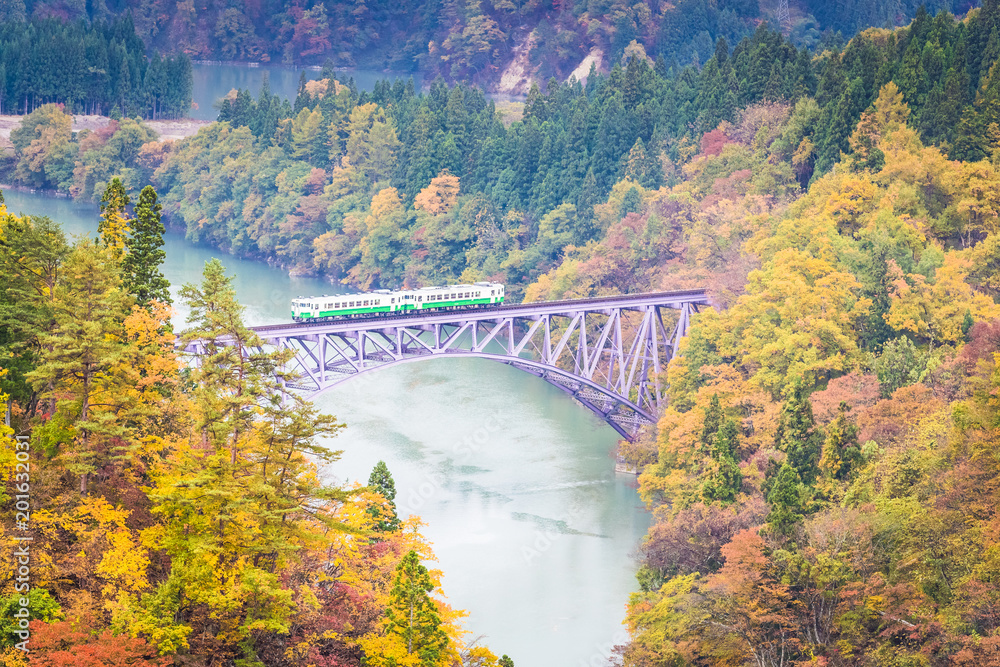 秋天的福岛三岛町田见线