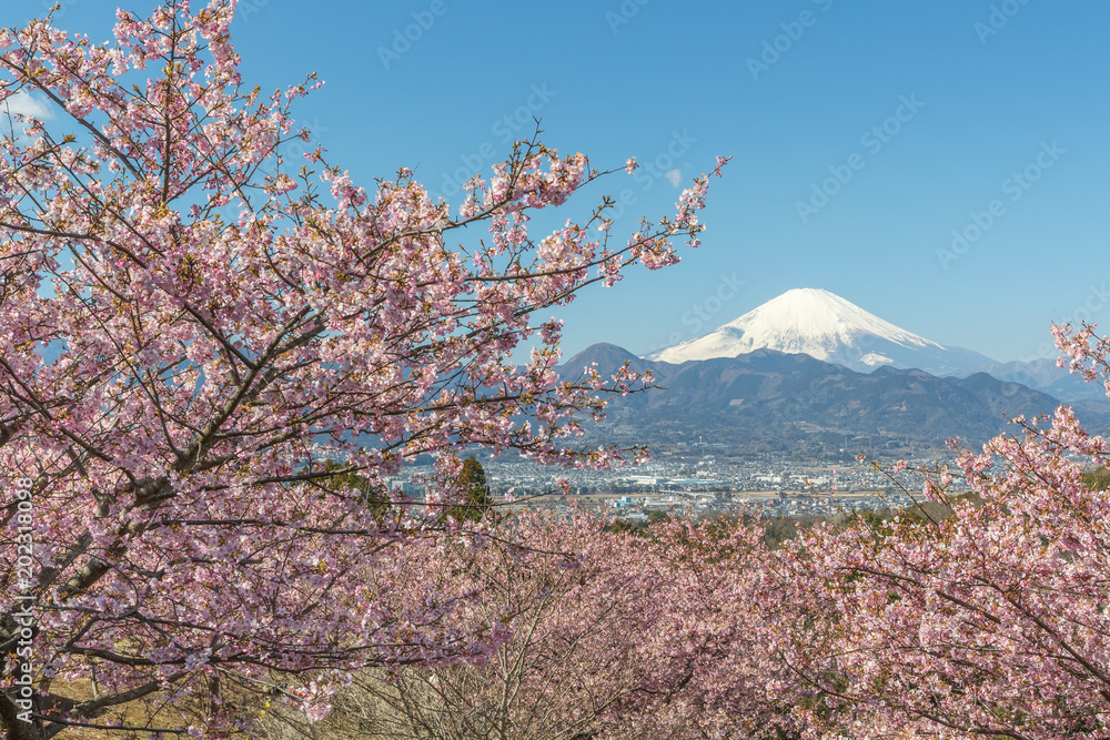 春日的川津坂原和富士山