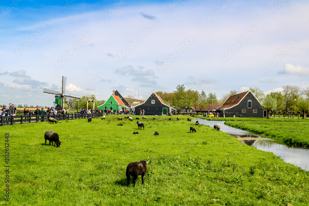 Windmühlen in Zaanse Schans in den Niederlanden in Europa