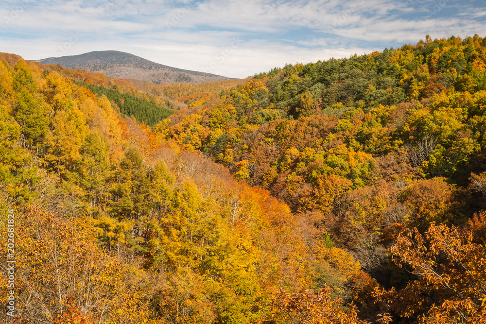 Nakatsugawa gorge at Fukushima in autumn