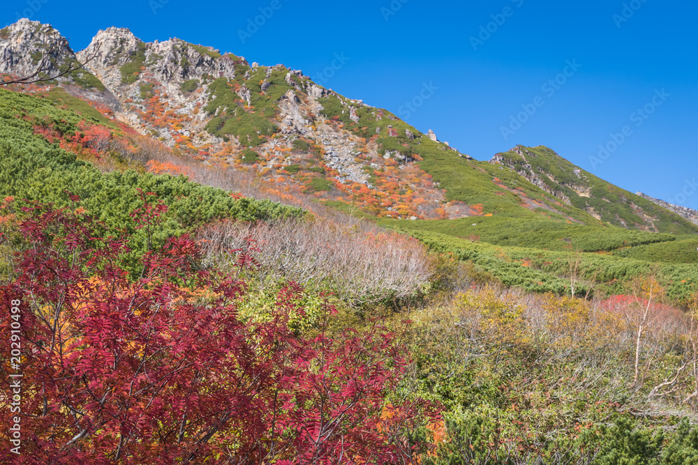 Mt.Ontake在秋季