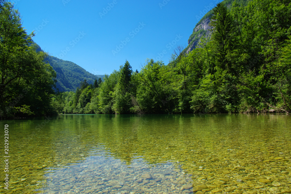 森林与河流