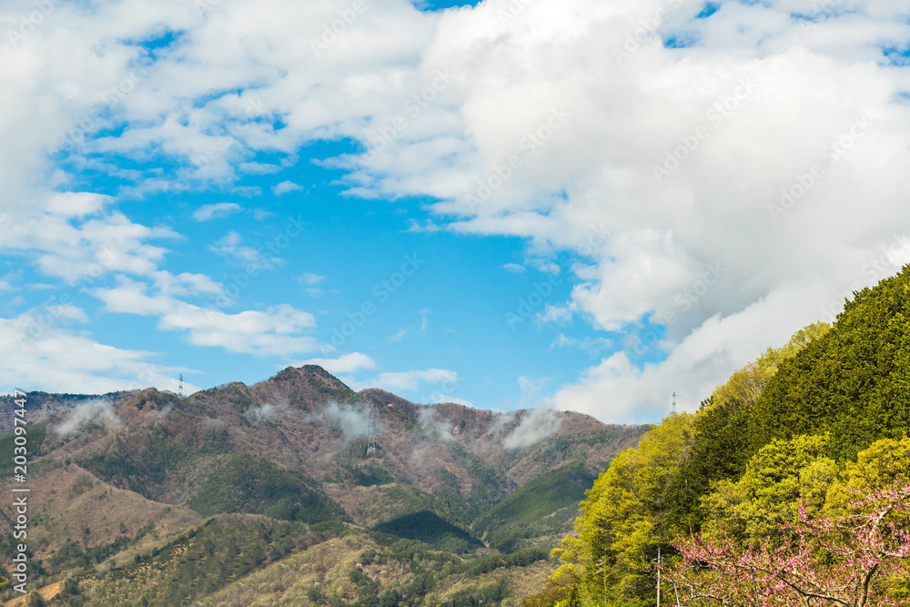 満開の桃の花と山並み