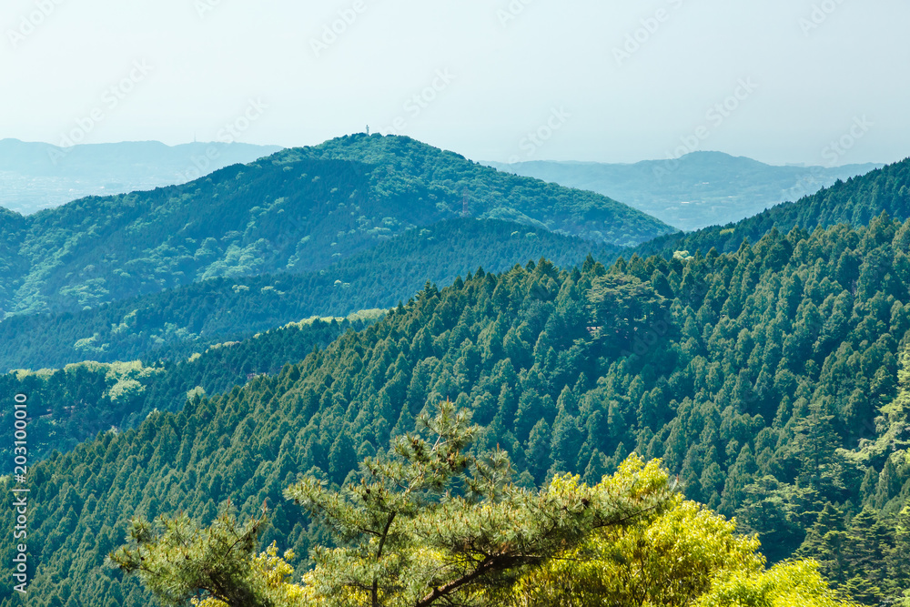 新緑の山並み