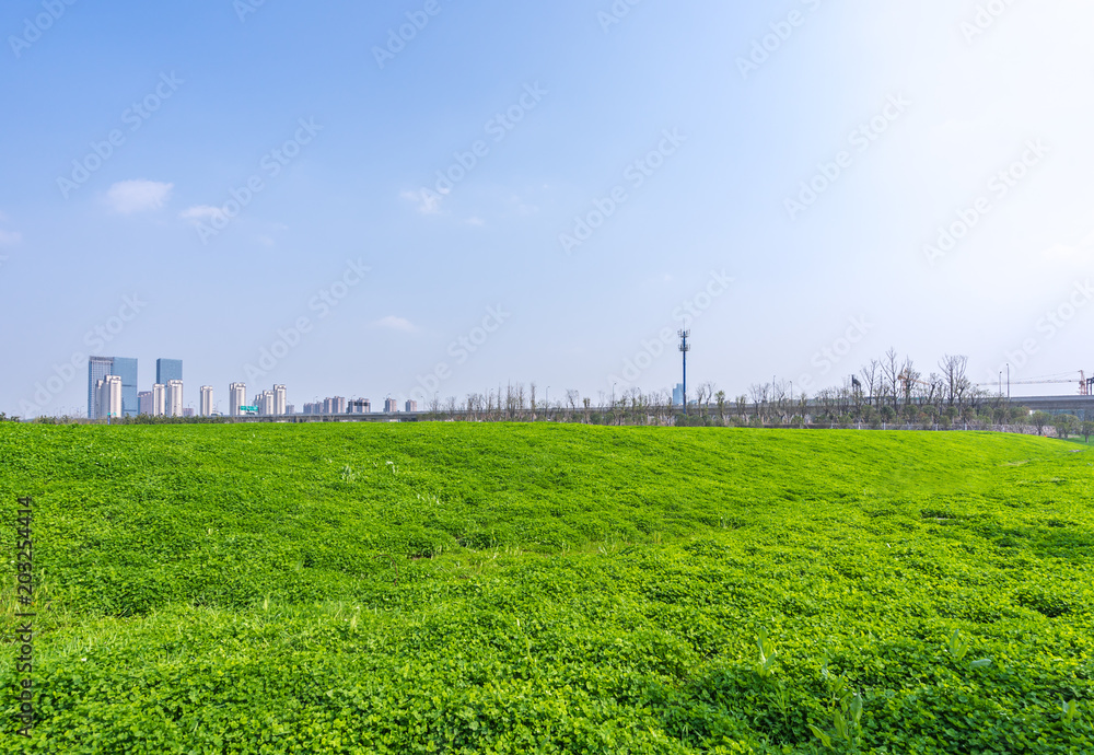 绿草如茵，城市天际线