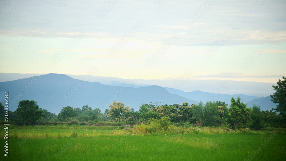 稻田和大山，天空背景是云。