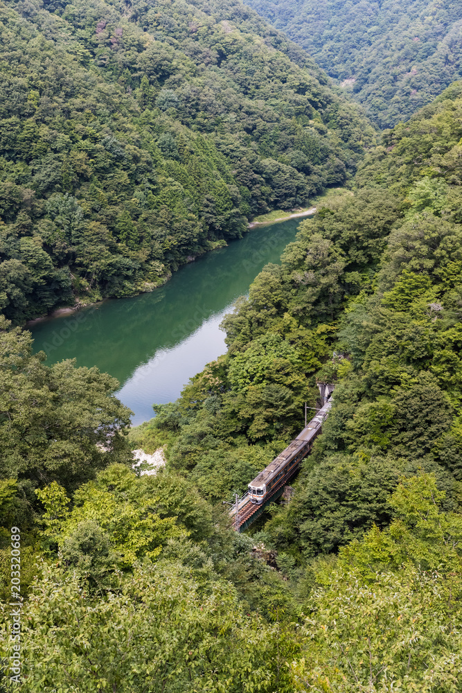 利达线和青山在夏季