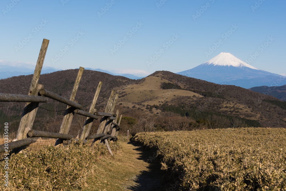 静冈县伊豆市冬季富士山与高山的景色。