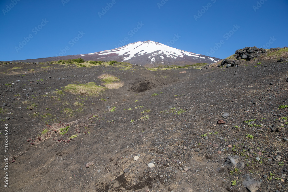 富士山之巅，雪与春天的富士山自然休闲林径