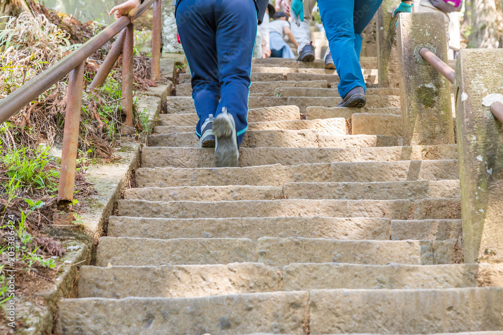 登山道の階段を登る人々