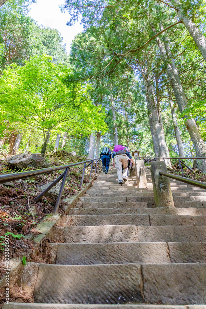 登山道の階段を登る人々