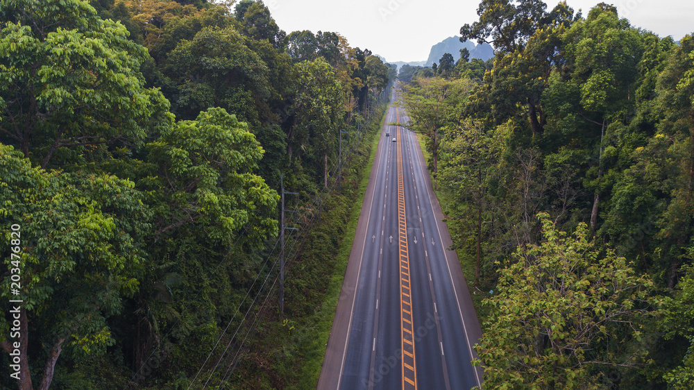 aerial view landscape of  Tree or forest ,  Krabi Thailand