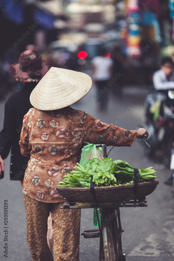 越南女卖家骑自行车散步卖菜