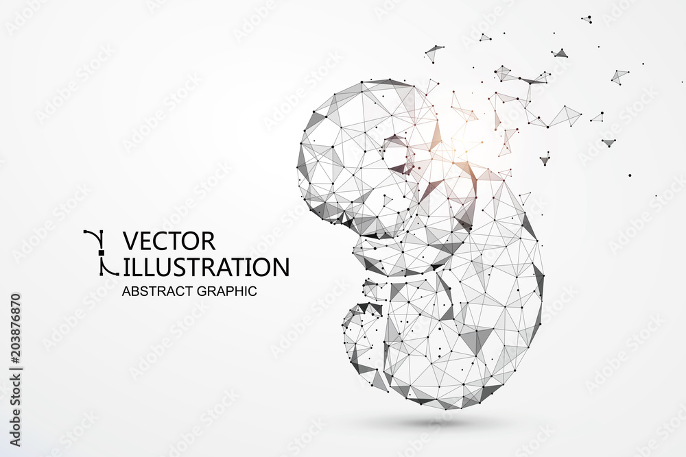 Artificial nurtured bionic fetuses, points and lines connected, vector illustration.