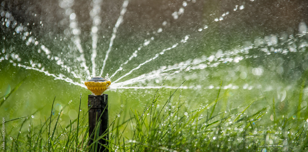 洒水车正在洒水