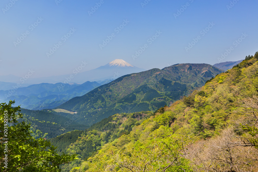 新緑の山と富士山