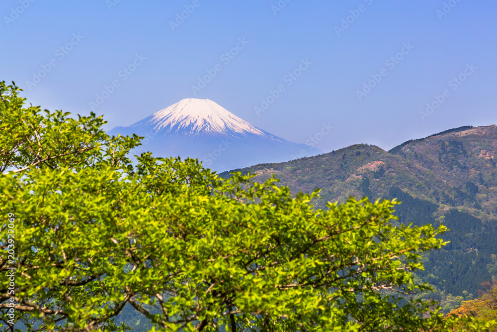 新緑の山と富士山