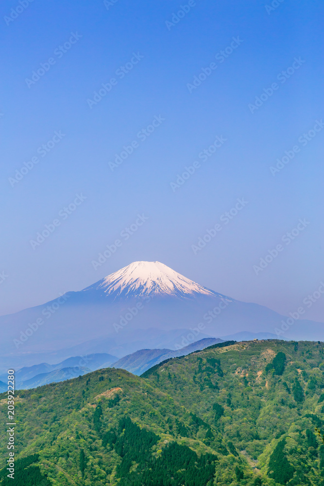 新緑の山と富士山