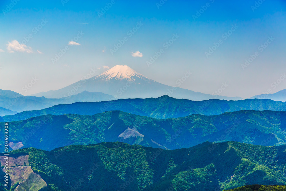 新緑の山と富士山