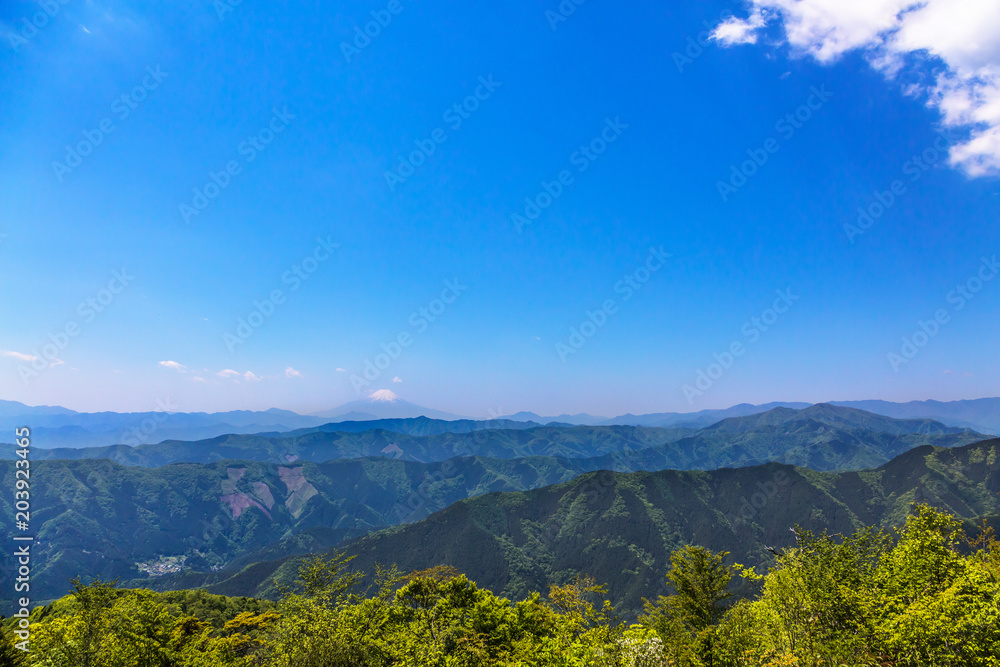 新緑の山と富士山