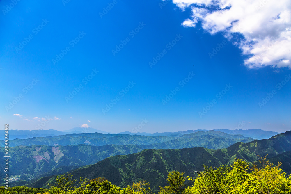 新緑の山と富士山