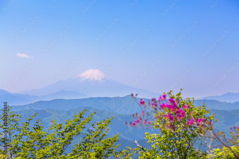 新緑の山と富士山