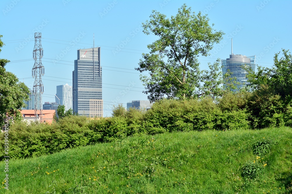 Park in the city