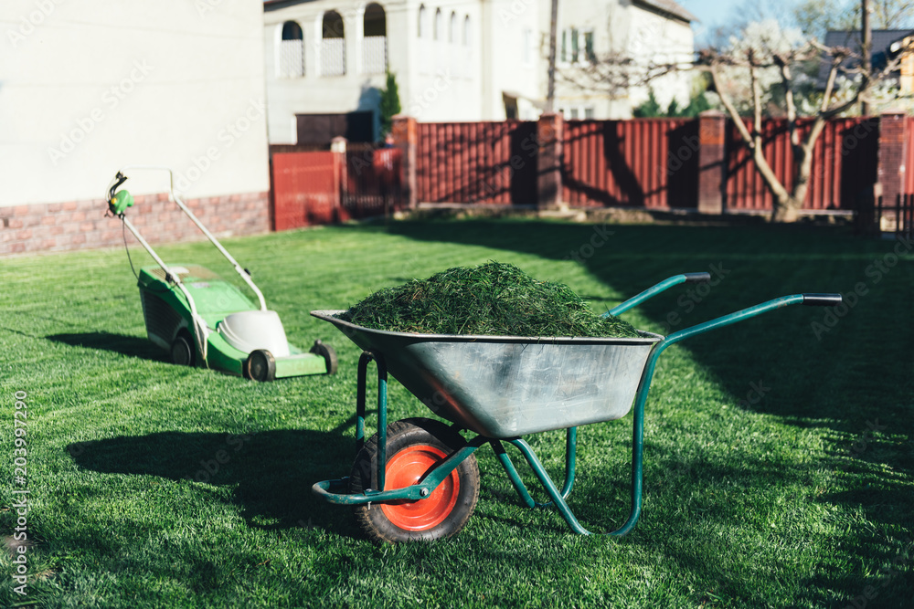 Electric lawn mower on green grass closeup