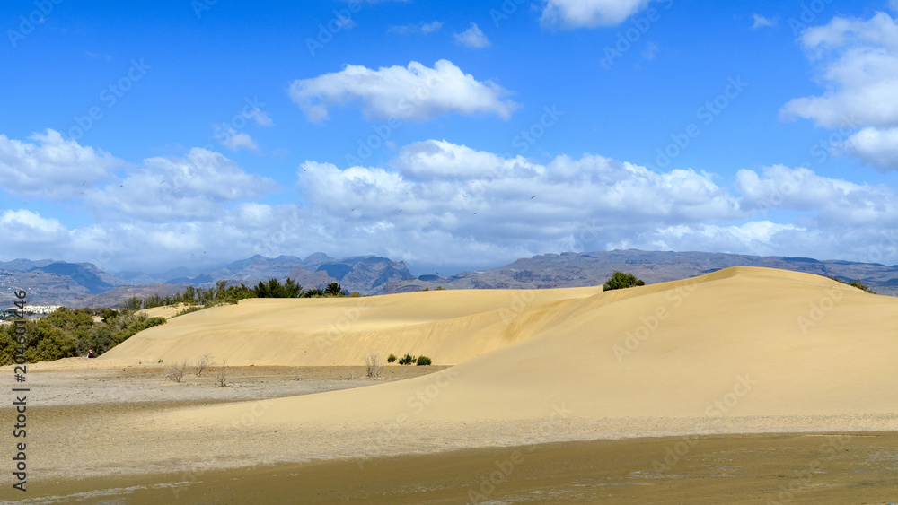 Maspalomas dunes