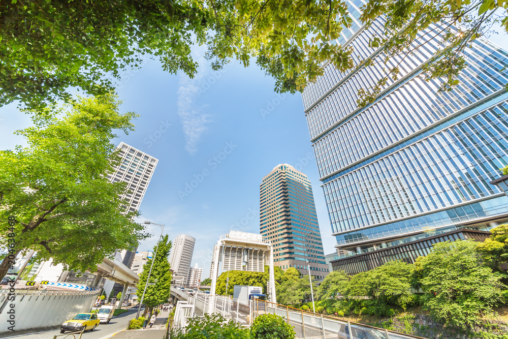 新緑と東京のビル群